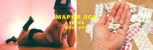 ГАЛЛЮЦИНОГЕННЫЕ ГРИБЫ Балабаново