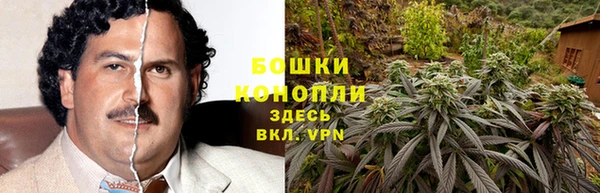 ГАЛЛЮЦИНОГЕННЫЕ ГРИБЫ Балабаново