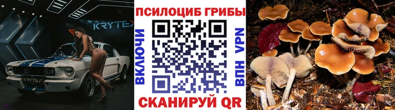 Псилоцибиновые грибы Psilocybine cubensis  где купить наркоту  KRAKEN как зайти  Ульяновск 